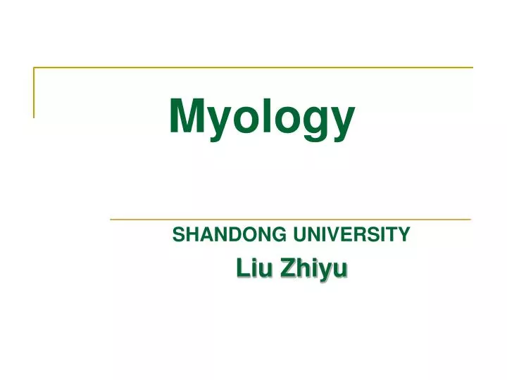 myology n.