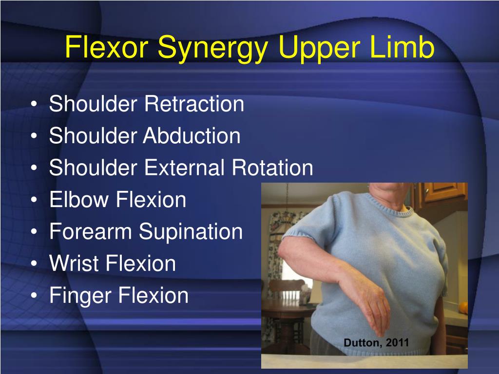 flexor synergy pattern