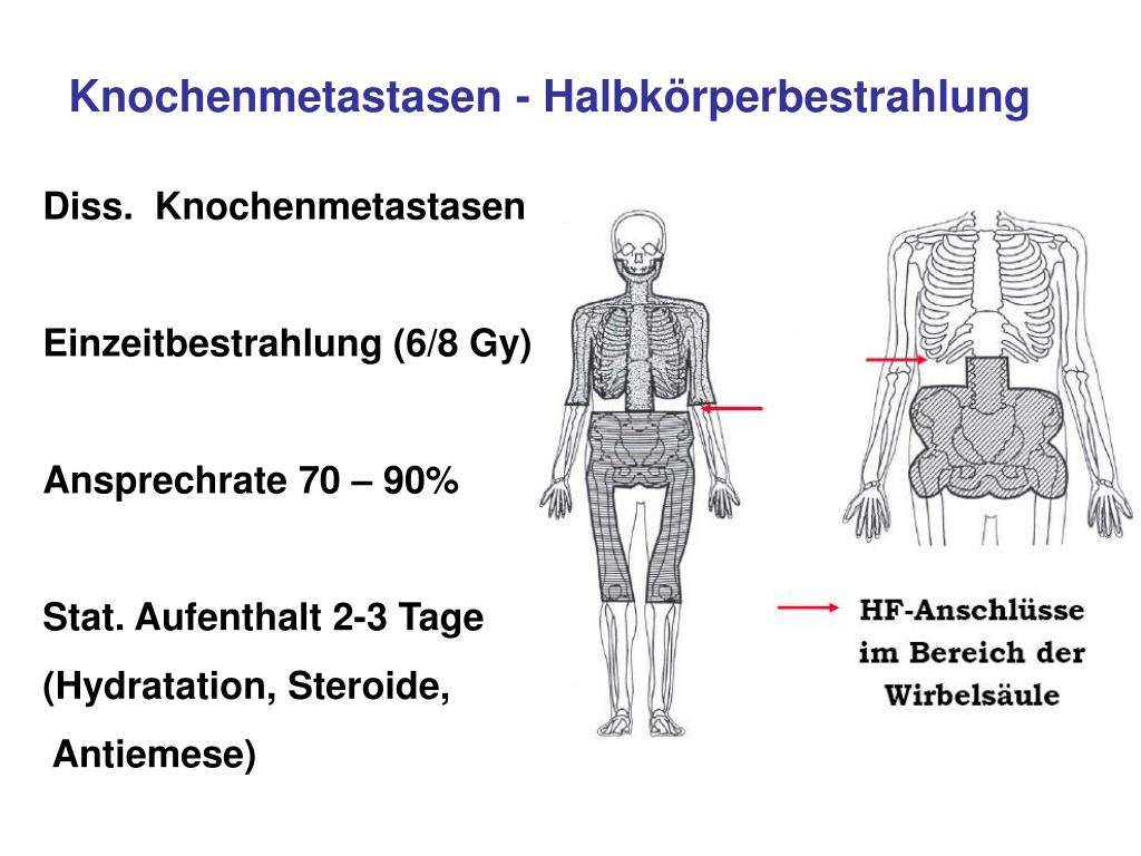 Verliebe dich in hardgainer crew steroide