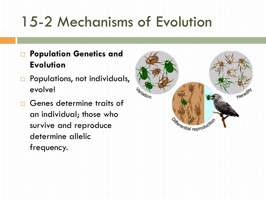 Ppt C15 Theory Of Evolution Pp 392 419 Powerpoint Presentation