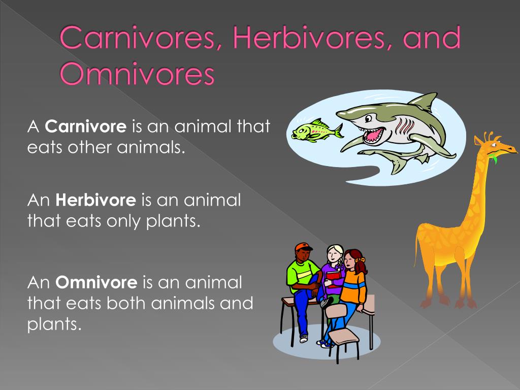 PPT - Carnivores, Herbivores, and Omnivores PowerPoint Presentation, free  download - ID:5383483