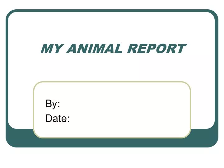 my animal report n.