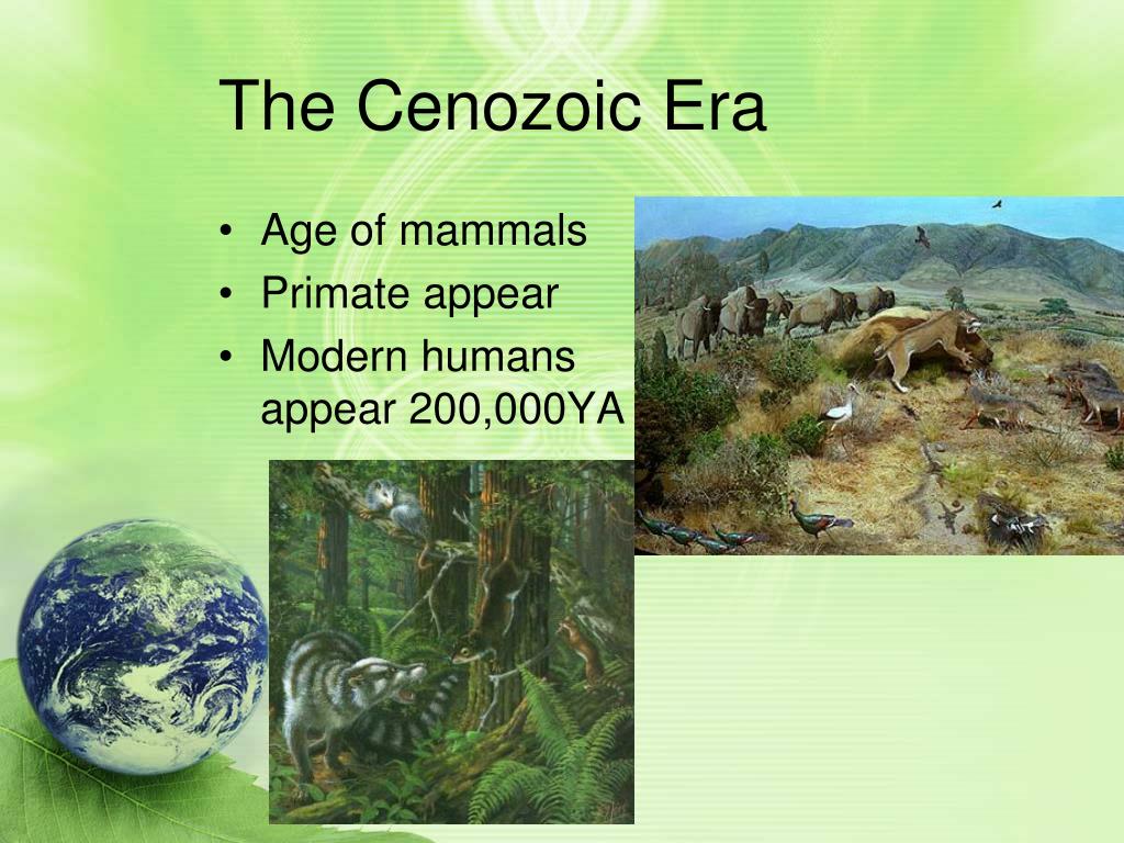 PPT - C 14- The History of Life PowerPoint Presentation, free download ...