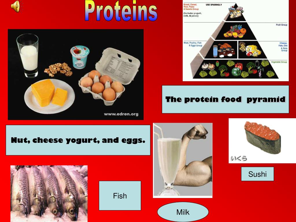 PPT - Proteins PowerPoint Presentation, Free Download - ID:5385580