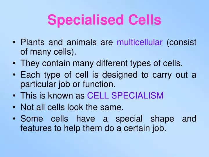 PPT Specialised Cells PowerPoint Presentation Free Download ID 5388587 ppt-specialised-cells-powerpoint-presentation-free-download-id-5388587