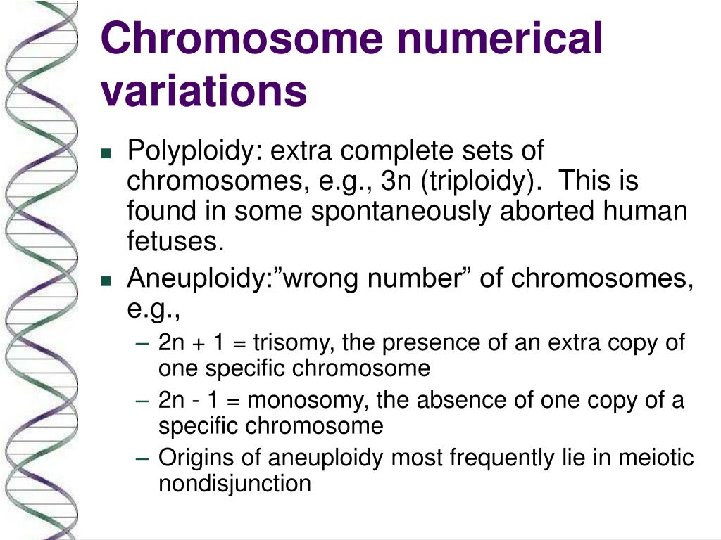 Ppt Chromosomes Normal And Aberrant Structure And Karyotypes