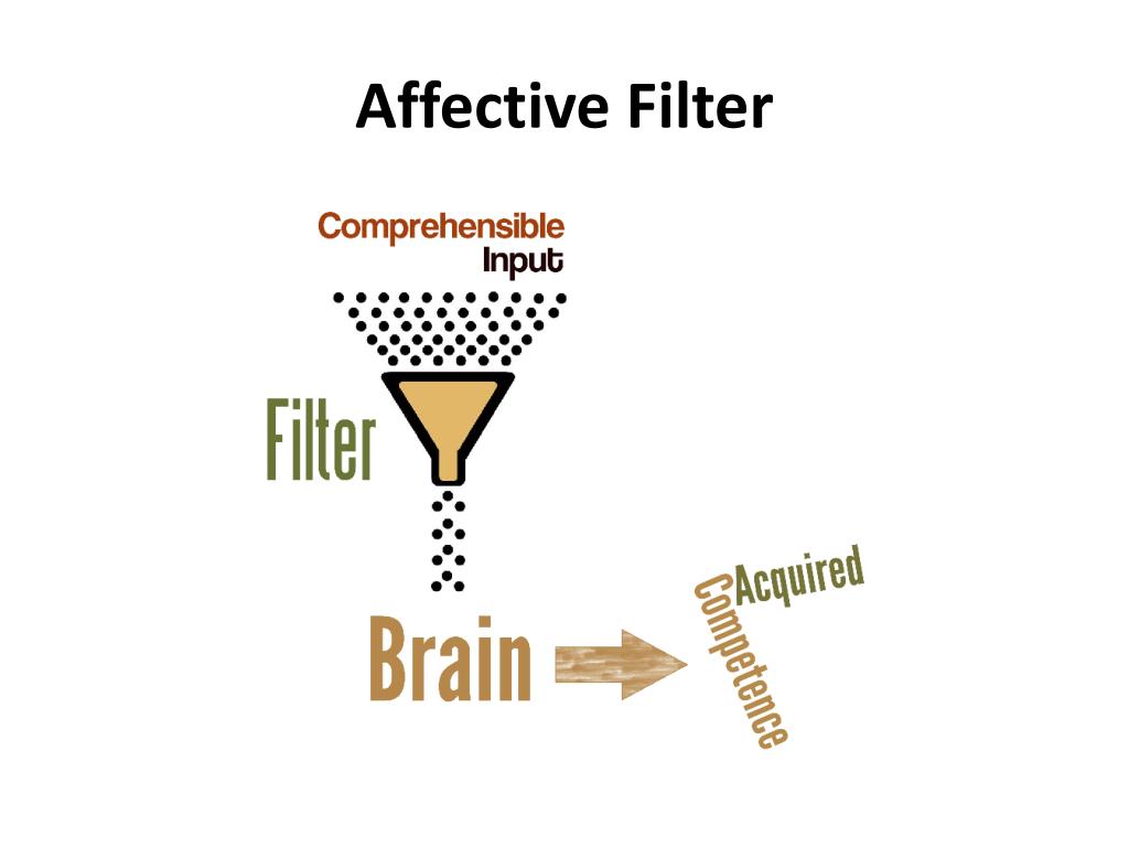 affective filter hypothesis