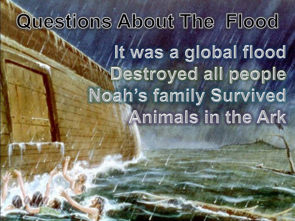 Если бы книгам угрожал всемирный потоп