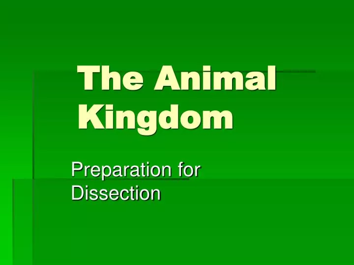 PPT - The Animal Kingdom PowerPoint Presentation, free download - ID:5392677