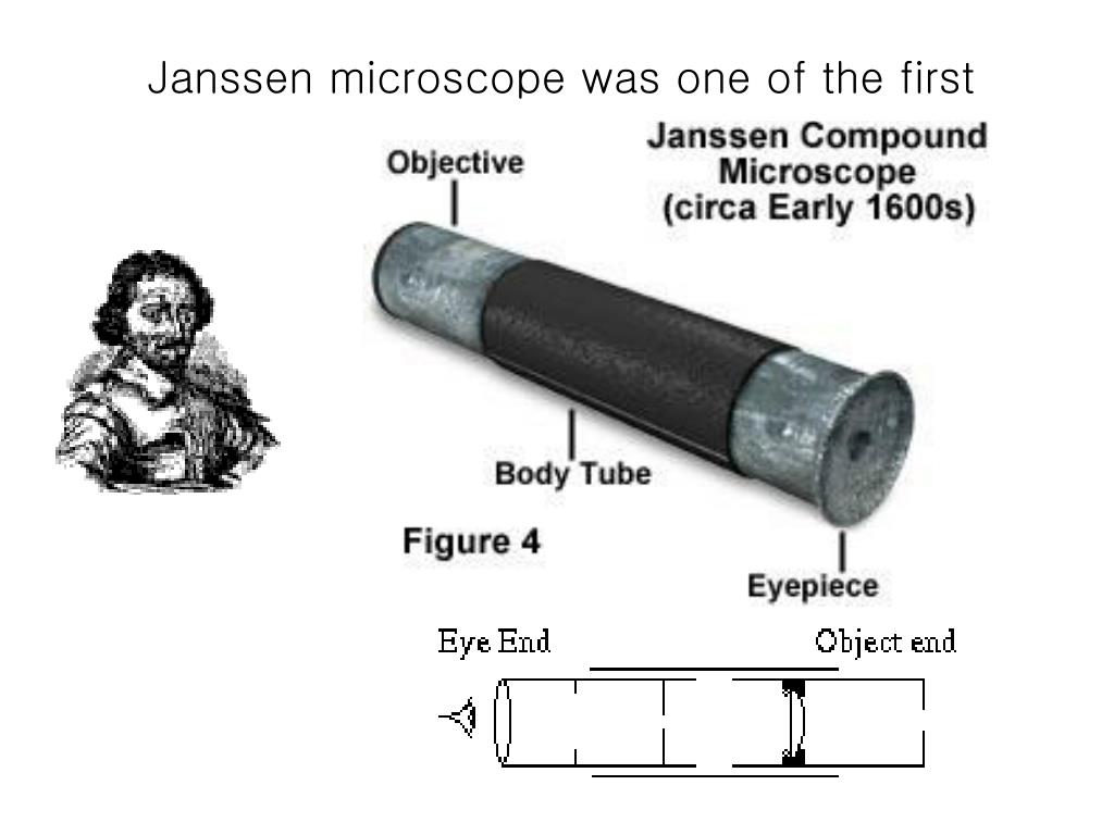 PPT Basic light microscopy PowerPoint Presentation, free download
