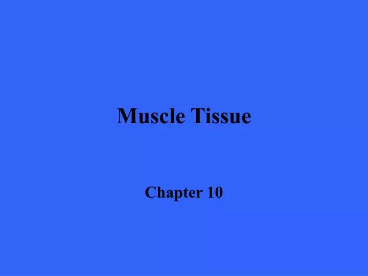 muscle tissue n.