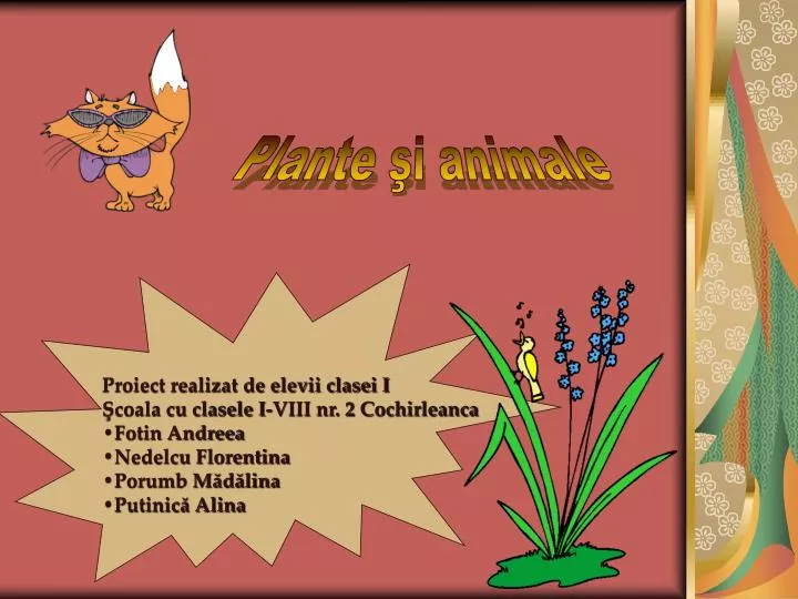 PPT - Plante şi animale PowerPoint Presentation, free download - ID:5394616