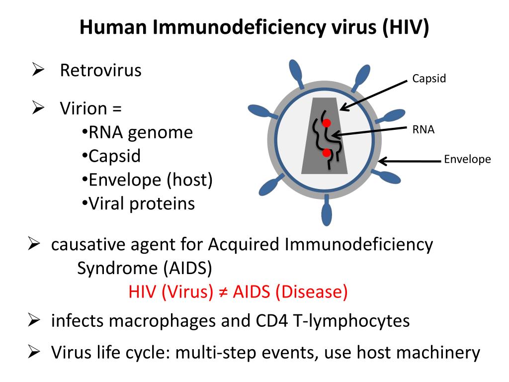 Human immunodeficiency