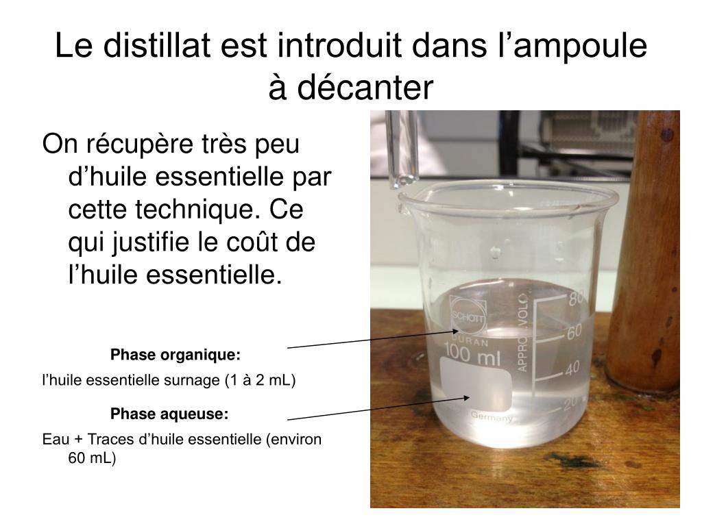 PPT Extraction de l’huile essentielle d’orange PowerPoint — free download