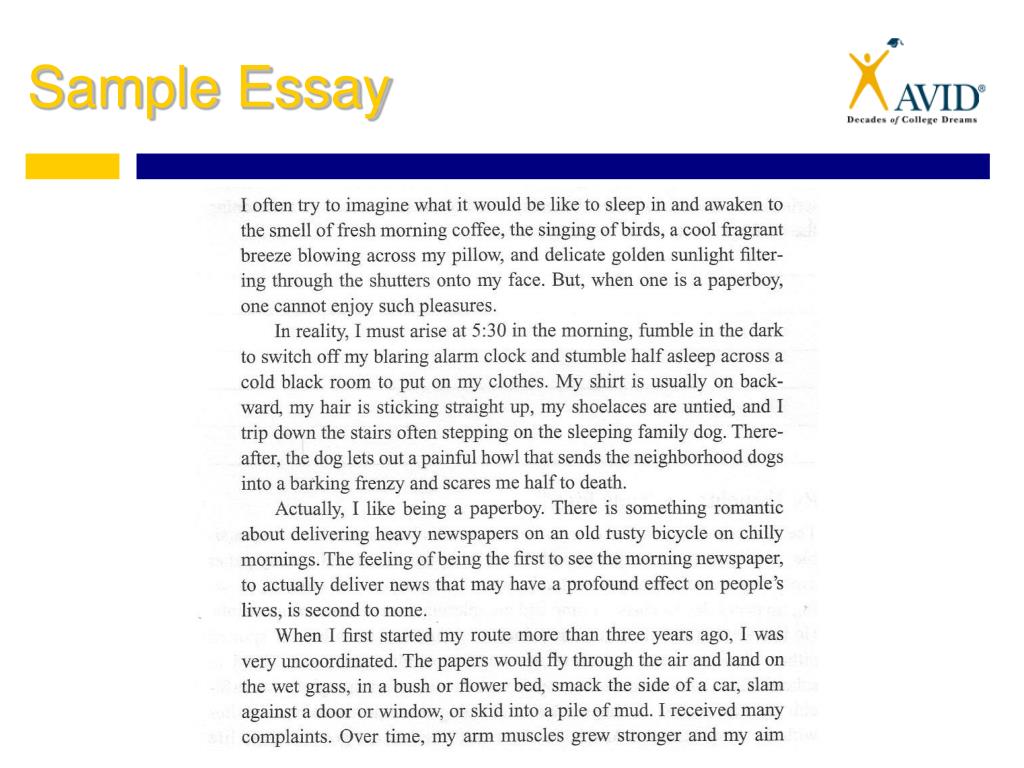 Is there an essay for usf application application essay writing ppt