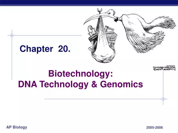 biotechnology essay questions One of the wonders of science is the amazing world of biotechnology when scientists ask questions, new technology offers them answers they never dreamed of in the past. biotechnology essay questions One of the wonders of science is the amazing world of biotechnology when scientists ask questions, new technology offers them answers they never dreamed of in the past.