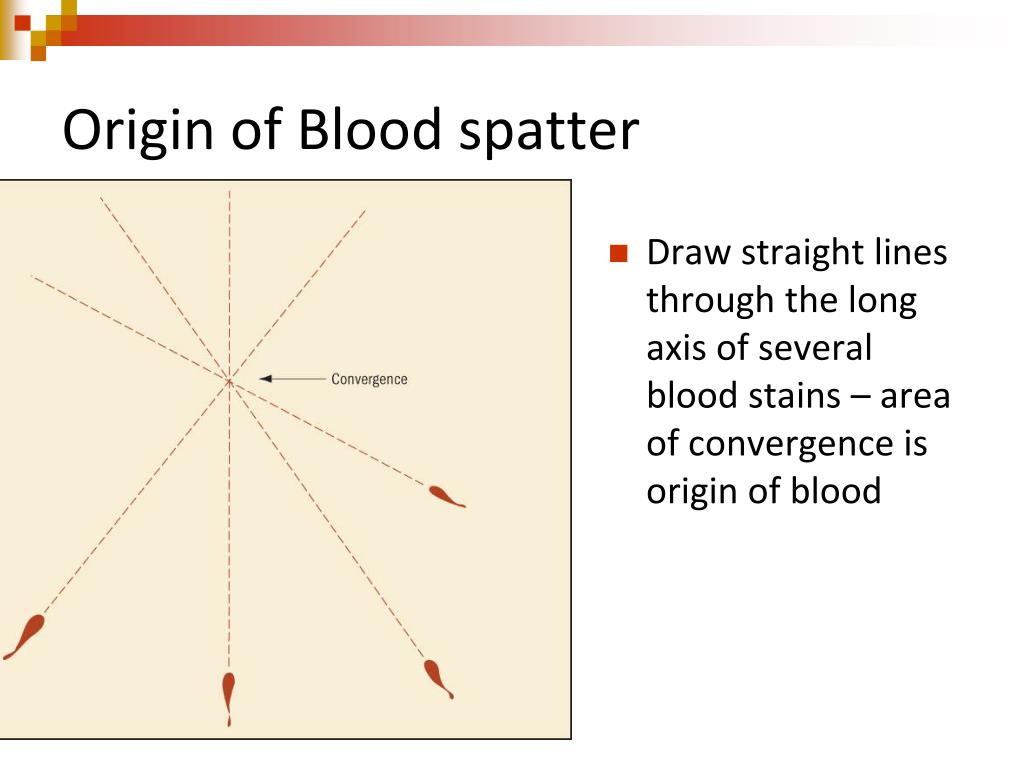 PPT - BLOODSTAIN PATTERNS PowerPoint Presentation, free download - ID