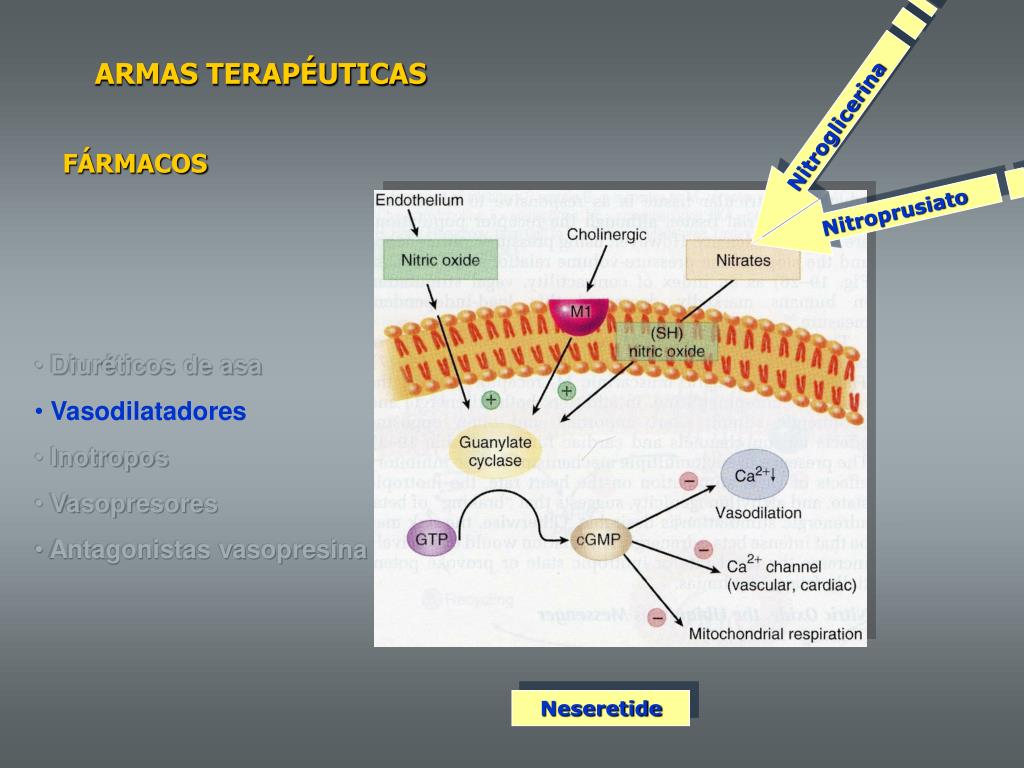 Inotropos PPT - TRATAMIENTO DE LA INSUFICIENCIA CARDIACA PowerPoint Presentation ...