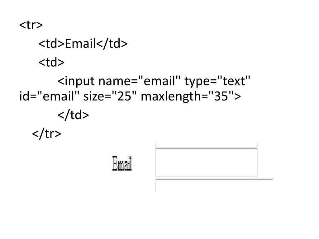 Input class text input name. Text maxlength.