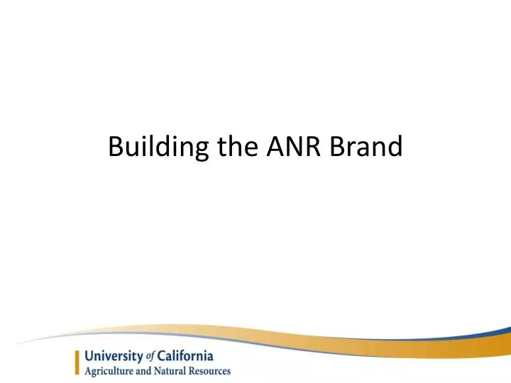 building the anr brand n.