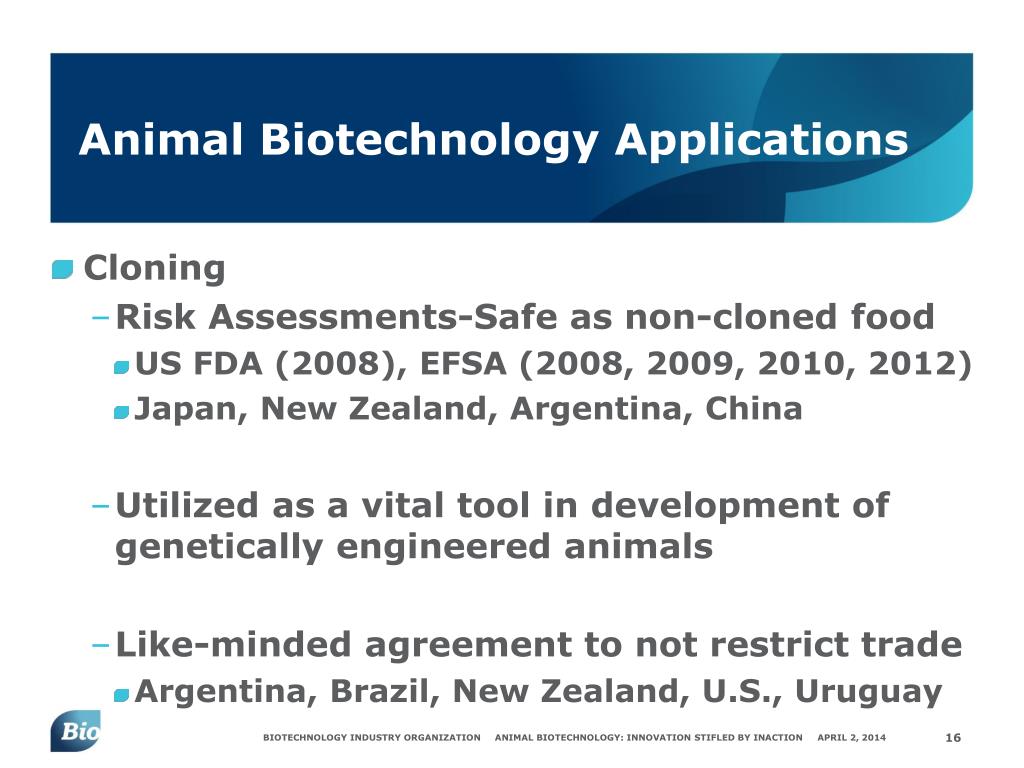 PPT - Animal Biotechnology: Innovation Stifled by Inaction PowerPoint  Presentation - ID:5402651