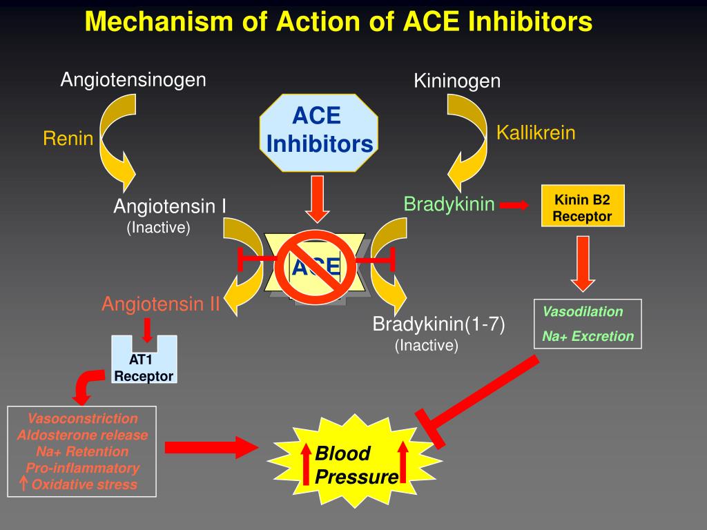 Mechanism of action. Ace inhibitors. Acei mechanism of Action. Mechanism of Action of angiotensin converting Enzyme inhibitors. Ace inhibitors Side Effects.