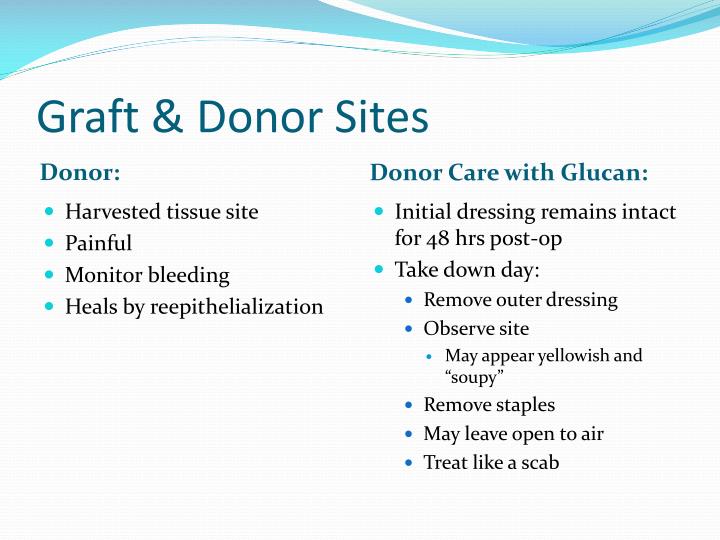 PPT Hydrotherapy & Burn Wound Care PowerPoint Presentation ID5403903