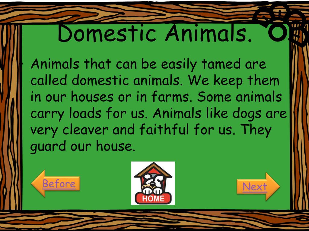 PPT - Domestic Animals PowerPoint Presentation, free download - ID:5403925