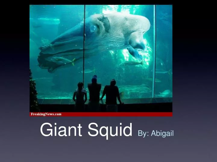 giant squid by abigail n.