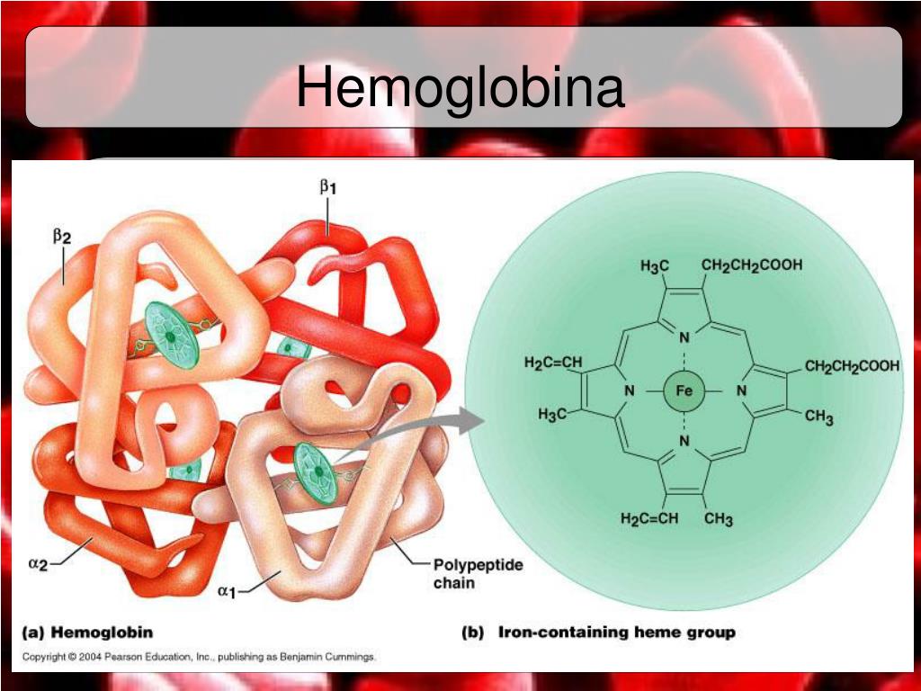 Que es la hemoglobina