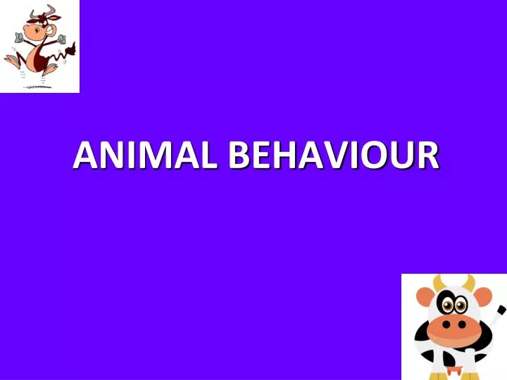 PPT - ANIMAL BEHAVIOUR PowerPoint Presentation, free download - ID:5406689