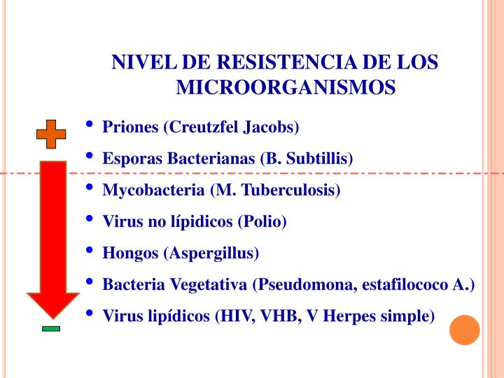 PPT Desinfecci n De Alto Nivel PowerPoint Presentation ID 5407999 ppt-desinfecci-n-de-alto-nivel-powerpoint-presentation-id-5407999