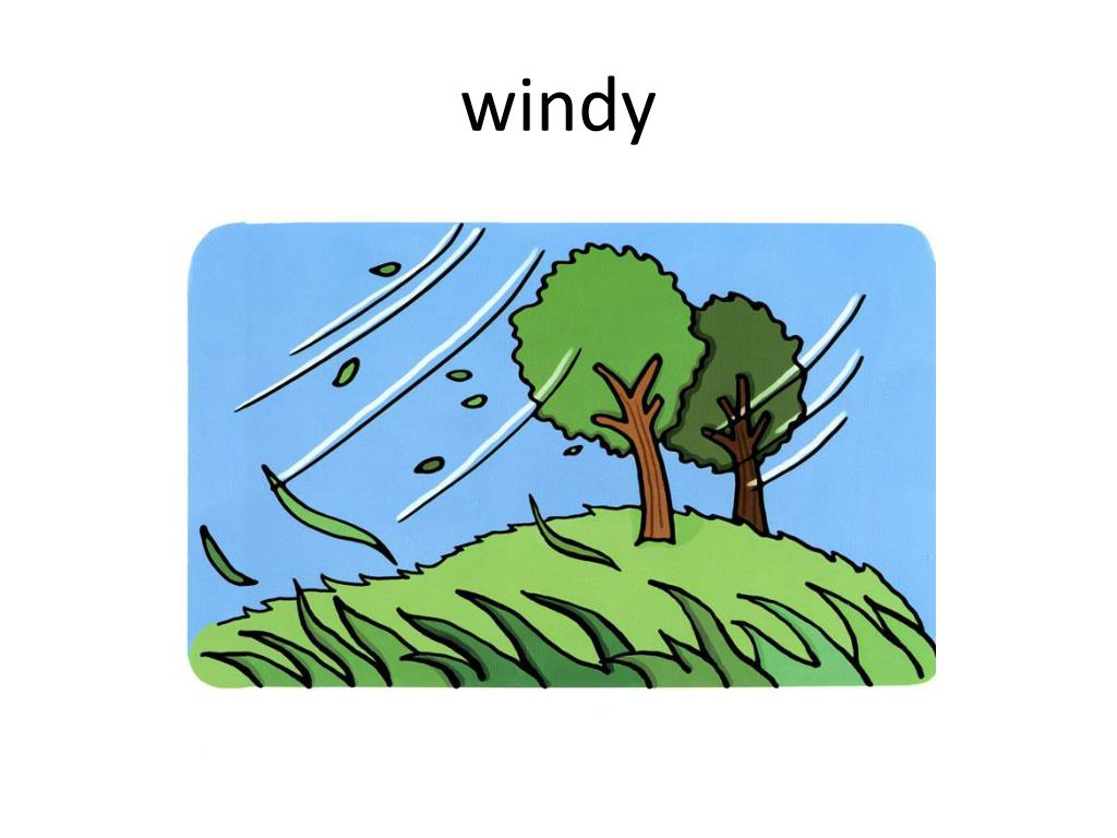 It`s Windy. It's Windy.
