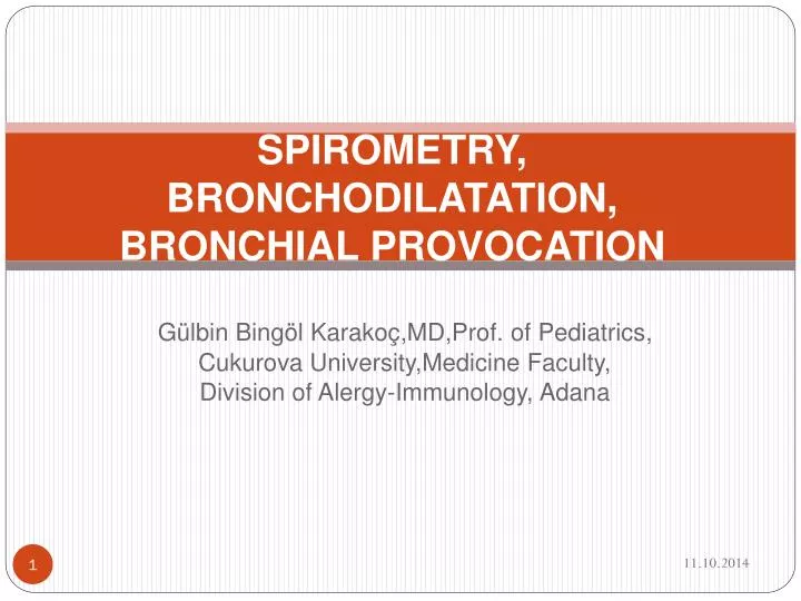 spirometry bronchodilatation bronchial provocation n.