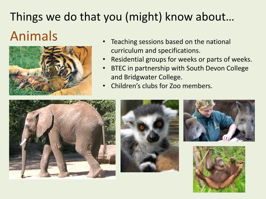 presentation on zoo