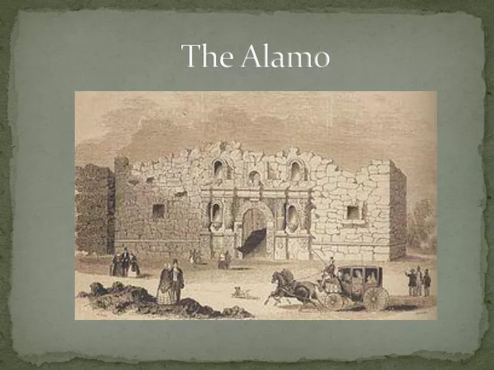 the alamo n.