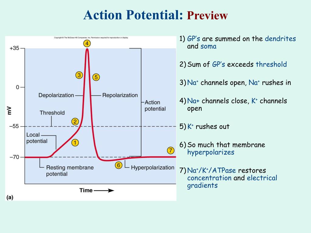 action name is already in use by a vpn session action potential