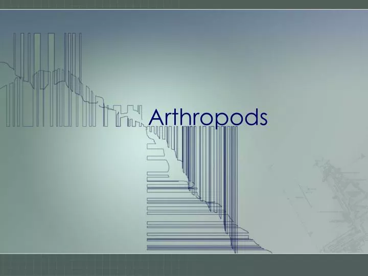 arthropods n.