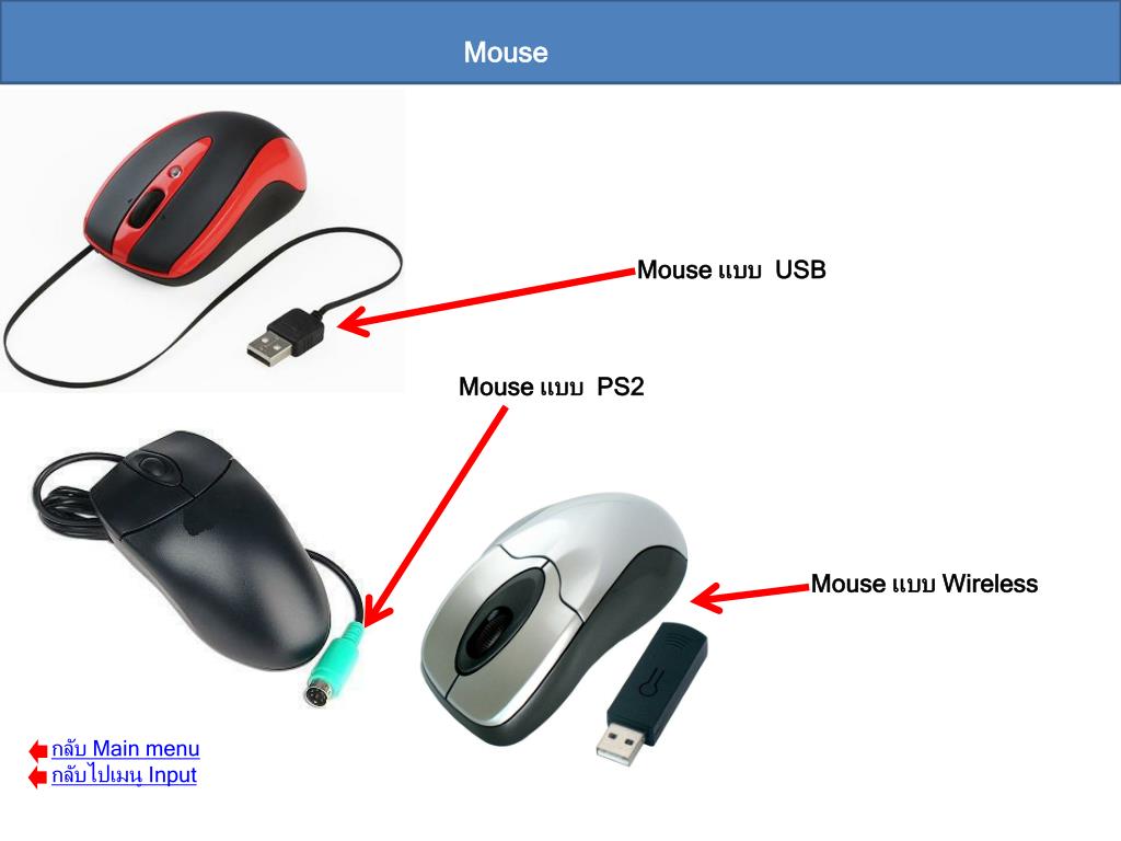 Mouse перевод на русский язык с английского