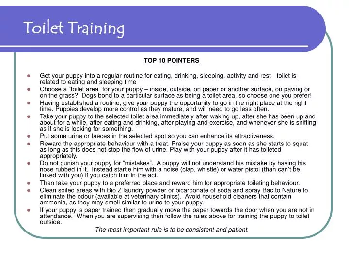 PPT Toilet Training PowerPoint Presentation, free download ID5416033