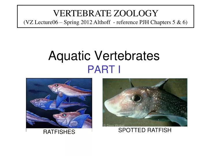 PPT Aquatic Vertebrates PART I PowerPoint Presentation, free download