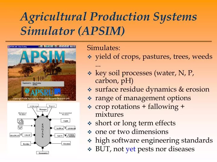 apsim model apsim model