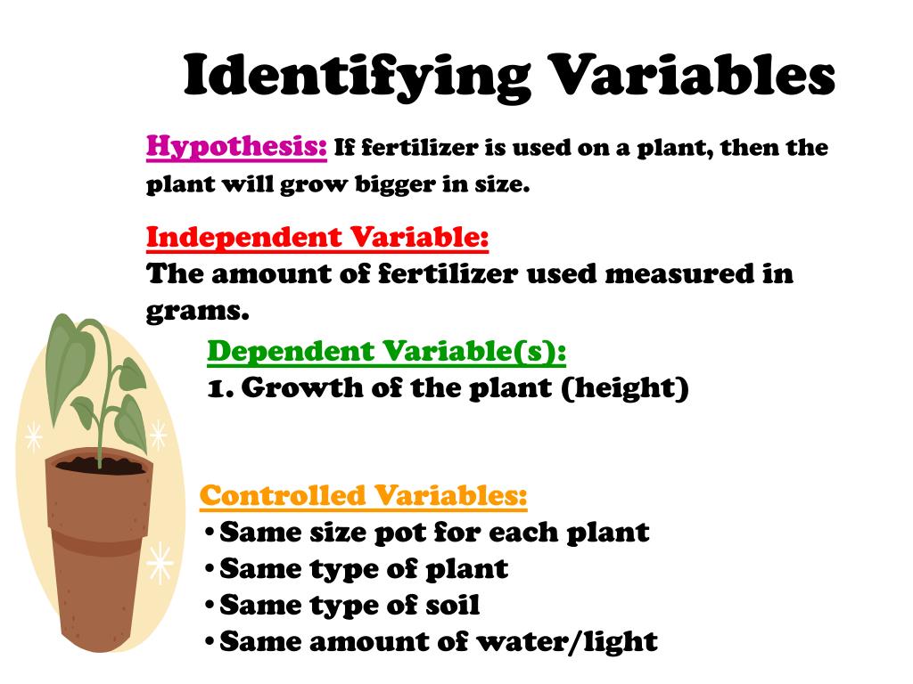 hypothesis independent variable