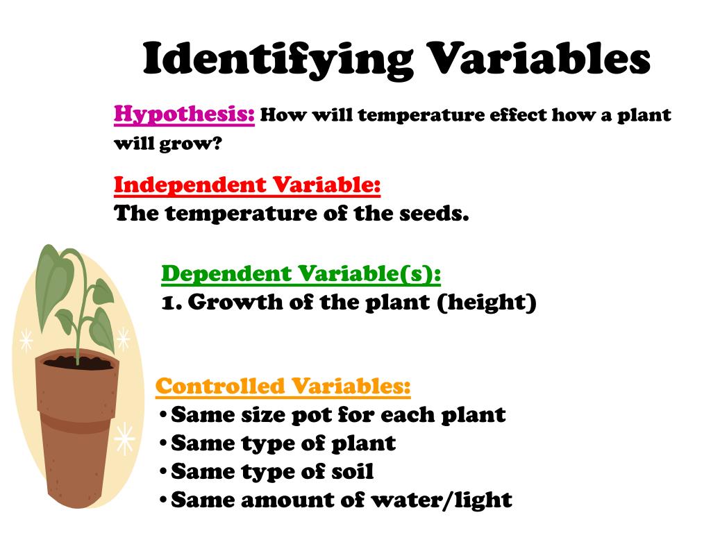 independent variable and dependent variable and control group