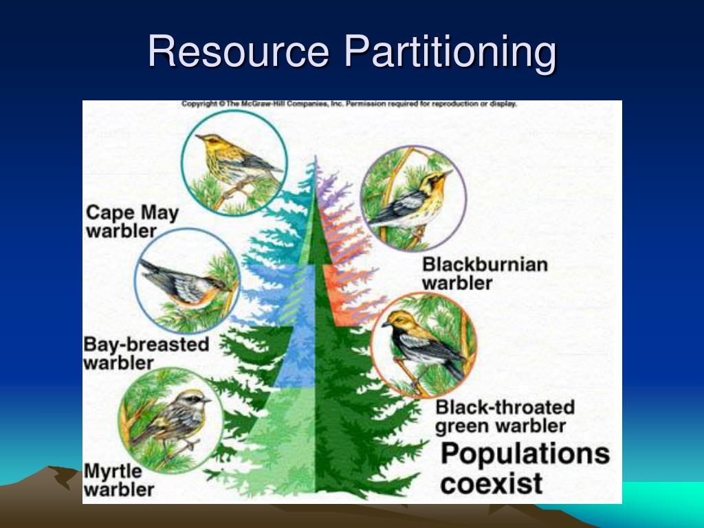resource partitioning definition