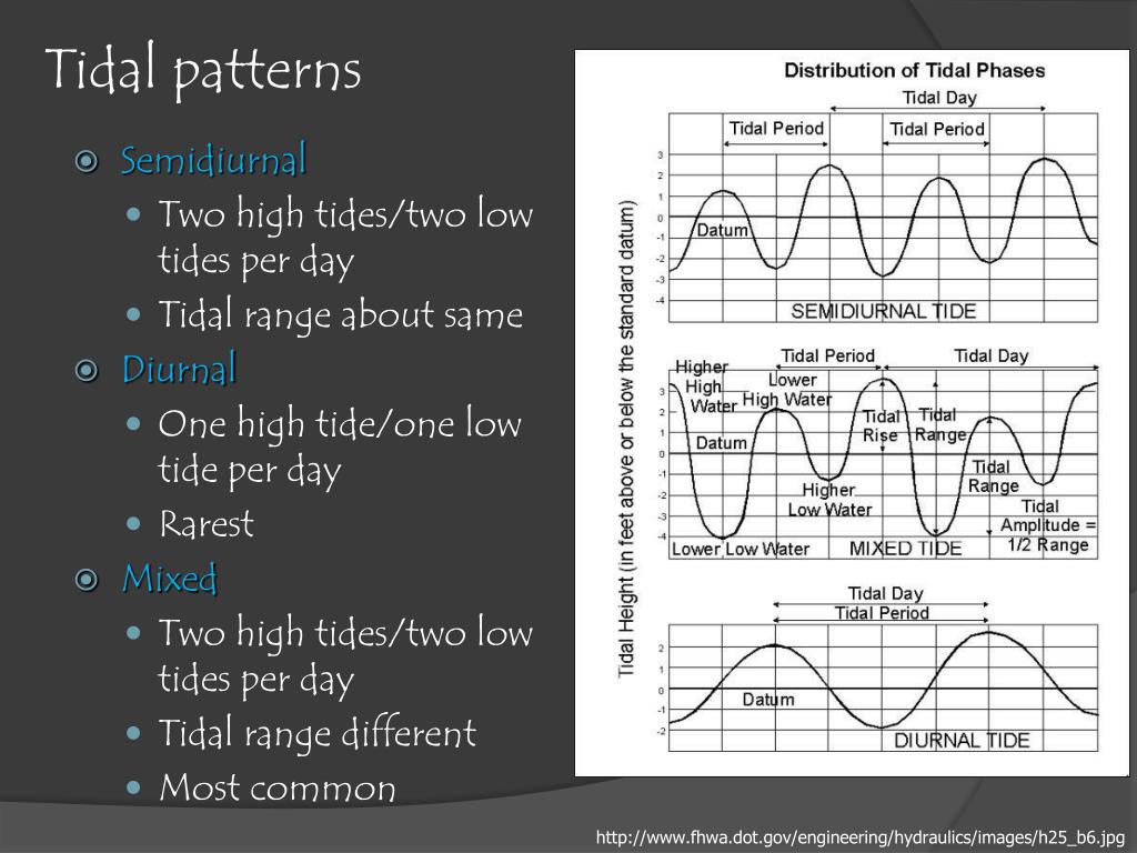 PPT CHAPTER 9 Tides PowerPoint Presentation, free download ID5420198