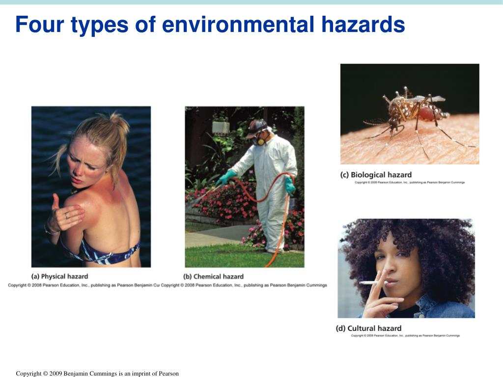 PPT Chapter 10 Environmental Health And Toxicology PowerPoint 