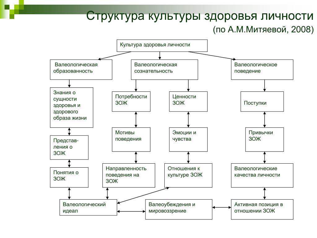 Формирование культуры здоровья. Структура культуры здоровья человека. Структура культуры здоровья личности. Схему «структура культуры здоровья личности».. Составьте схему «структура здоровья человека»..