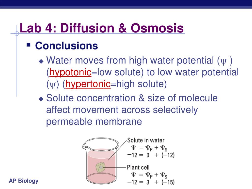 Is Salt Water A Hypertonic Solution