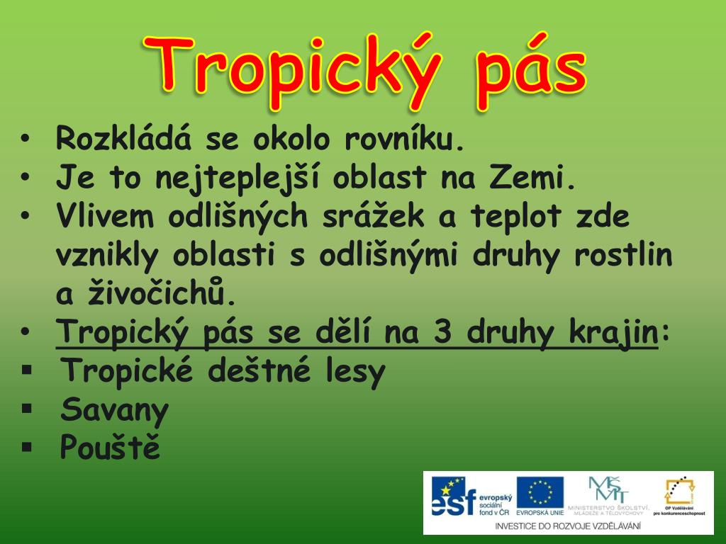 PPT - Tropický pás - rostliny PowerPoint Presentation, free download -  ID:5426424